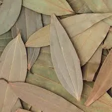 Tyllilang Ban Kiew Producers Cooperative Society Ltd